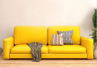 sofa collection